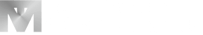 logo_silver